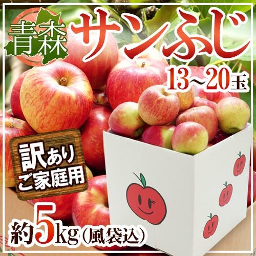 りんご 青森県産 ”サンふじりんご 訳あり 約5kg（風袋込）” 送料無料