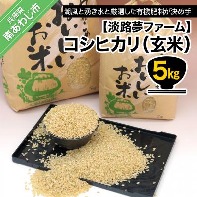 ふるさと納税 南あわじ市 　コシヒカリ(玄米)5キロ