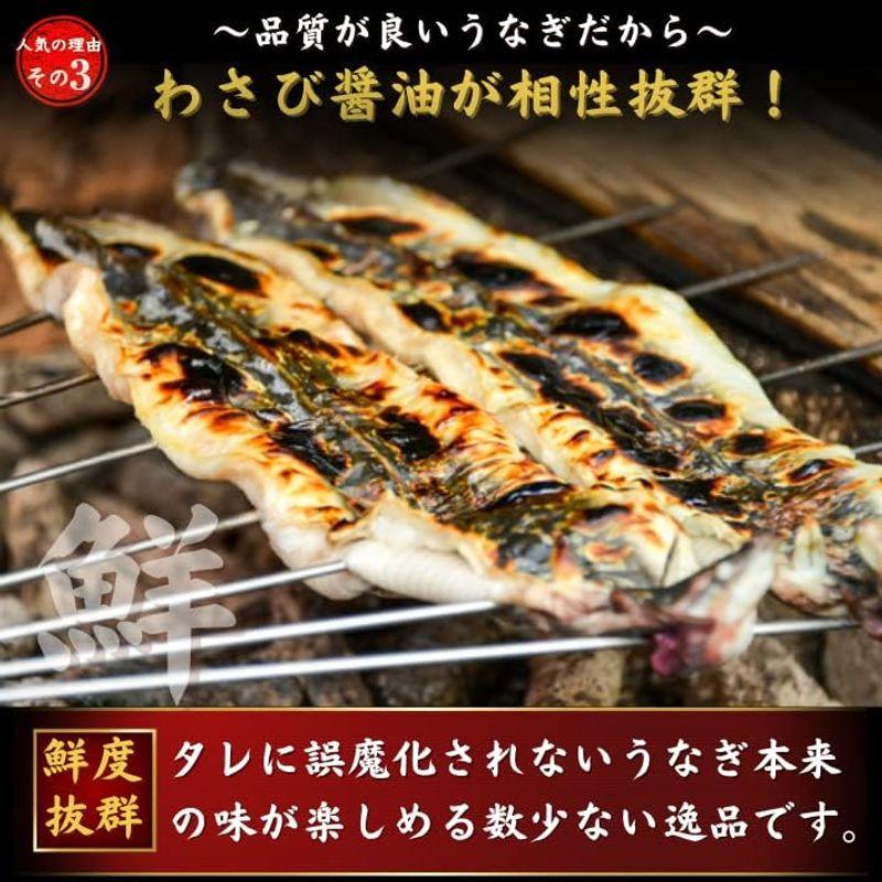 国産 うなぎ 超特大 白焼き ハーフカット2枚 (計250g) 誕生日 ギフト 池澤鮮魚 (贈答用ギフト包装)