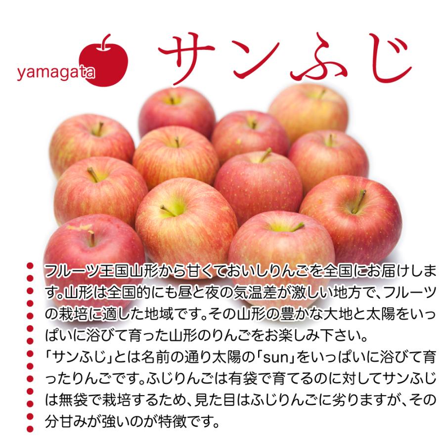 りんご 10kg 訳あり サンふじ 山形県産 約10キロ ご家庭用 林檎 リンゴ