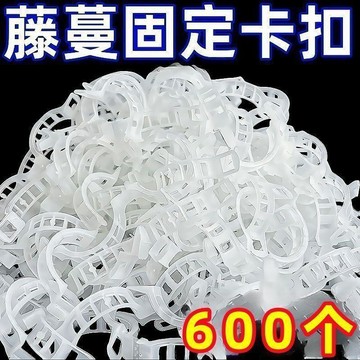 🔥臺灣出貨🔥黃瓜西紅柿豆角爬藤枝條固定器綠植蔬菜捆綁紮帶藤蔓專用吊秧夾
