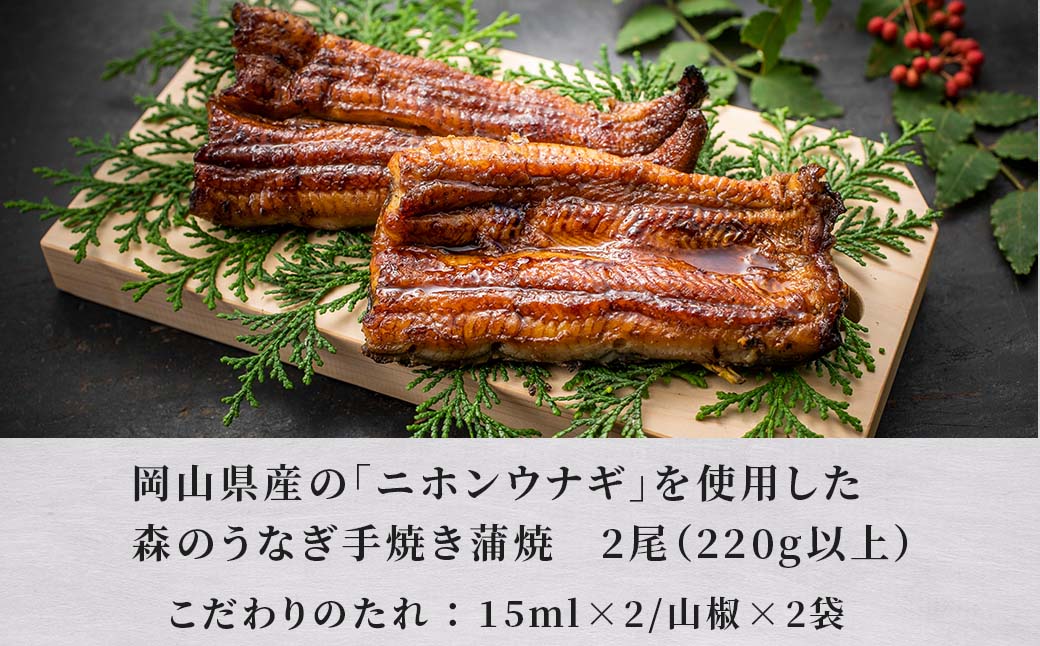 国産うなぎ  手焼き蒲焼 2尾(220g以上)セット 森のうなぎ  A-AA-A03A