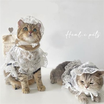 HC網紅寵物狗狗蕾絲超短背心夏天網紗防曬衣服輕薄貓咪公主蕾絲裙