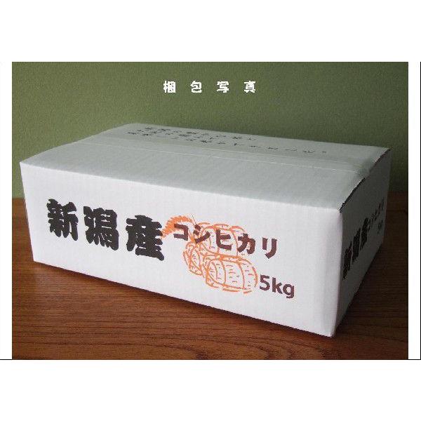 こばやし農園「発芽玄米」ミルキークイーン 5kg　新潟県産 特別栽培米（減農薬・減化学肥料栽培米）令和 5年産