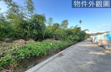 松專任★潭子慈濟對面★平坦農地釋出!!｜台中市潭子區新潭段