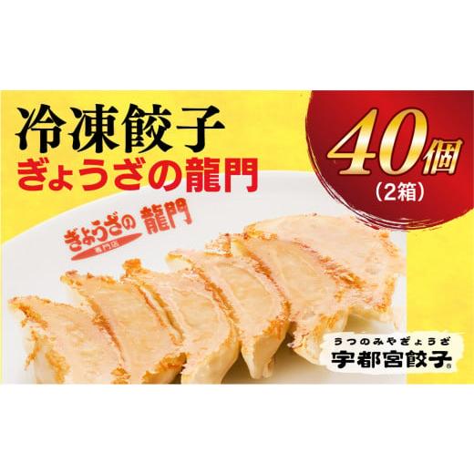 ふるさと納税 栃木県 宇都宮市 　餃子20個入り×2箱