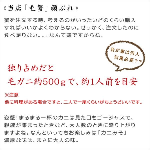 カニ かに 蟹 毛ガニ 毛蟹 2尾 北海道産 480g×2匹セット けがに 毛がに 国産 送料無料 お歳暮 ギフト 高級 海鮮