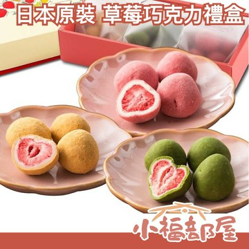 日本原裝 Terraris 草莓巧克力禮盒 母親節禮盒 巧克力 草莓 水果巧克力 朱古力 伴手禮 母親節 送禮 烘焙點【小福部屋】