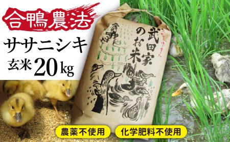 《令和５年度産》武田家のお米 ササニシキ（玄米）20kg＜合鴨農法＞   米 ５キロ ４袋 アイガモ