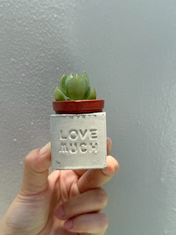 Love Much(要愛多一些)~!多肉磁鐵盆栽