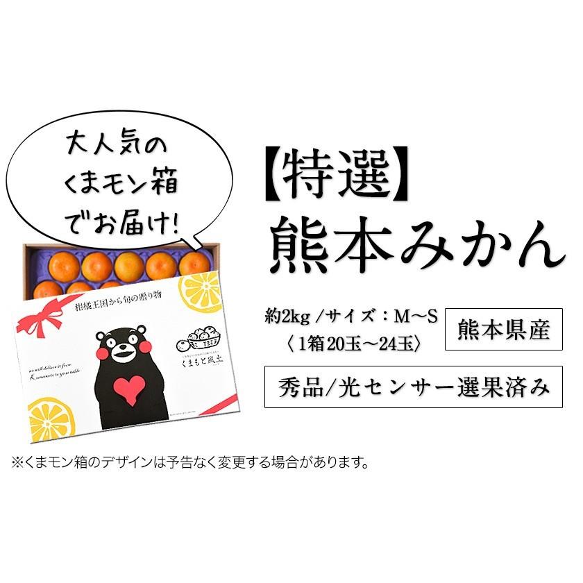 特選熊本みかん 約2kg (M-Sサイズ) みかんギフト 光センサー選果済み 贈答 果物  ギフト プレゼント 11月中旬-12月中旬頃に発送予定