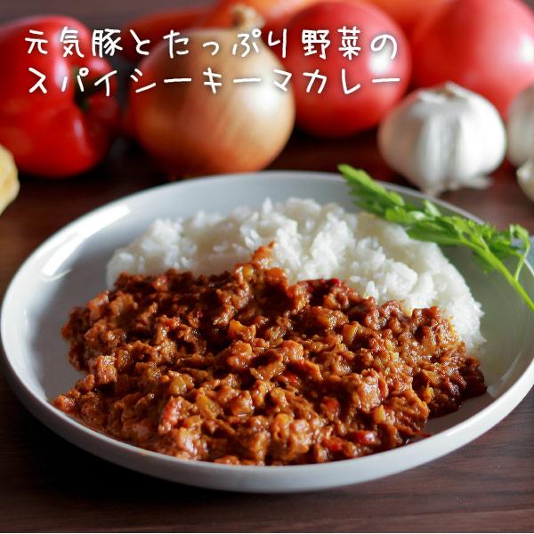 レトルト  常温保存　送料込み　「元気豚とたっぷり野菜のスパイシーキーマカレー　150ｇ×2パック」