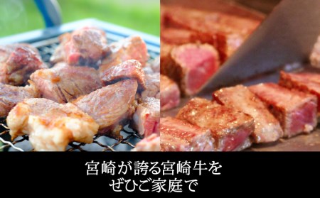 宮崎牛 リブロース ステーキ カット 400g (200g×2) 牛肉 焼肉 鉄板焼き 黒毛 和牛 国産 宮崎 A4 A5等級 牛 宮崎県産 冷凍 真空 牛肉 送料無料 ブランド 牛 肉 牛肉 霜降り BBQ 牛肉 バーベキュー キャンプ ギフト プレゼント 牛肉 ジューシー 牛肉