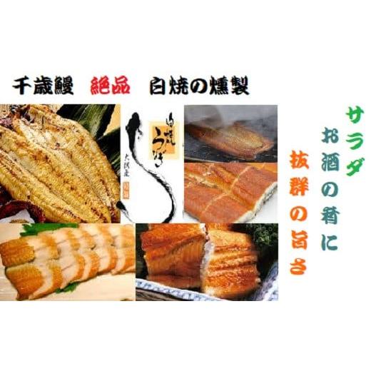 ふるさと納税 鹿児島県 大崎町 鹿児島県大隅産  千歳鰻の ★絶品★白焼の薫製ハーフカット２パック★