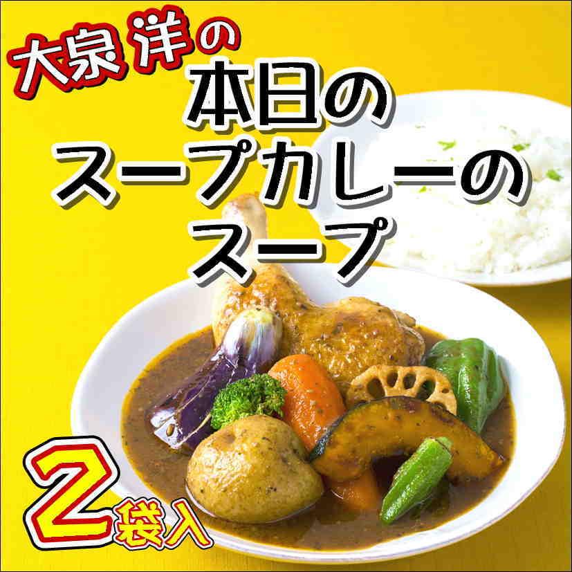 大泉洋 本日のスープカレーのスープ ２袋入り 北海道 ベル食品