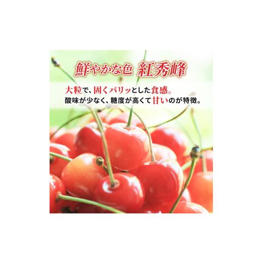 ふるさと納税 北海道 仁木町  先行受付 2024年7月から出荷 北海道 仁木町産 サクランボ 紅秀峰 600g 厳選品  松山商店