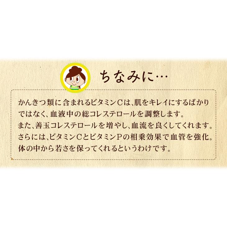 みかん 10kg 紀南の極甘みかん 和歌山産 蜜柑 ご家庭用 送料無料 食品