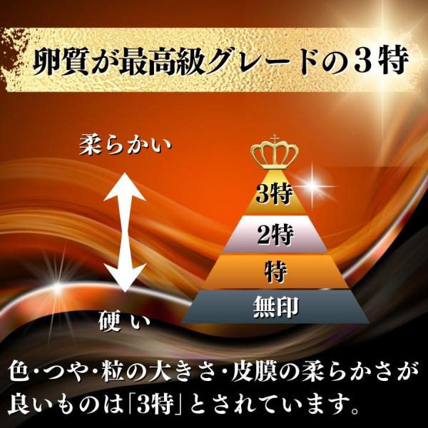 北海道産 いくら 300g 国産 いくら醤油漬け お取り寄せグルメ ギフト 贈り物 プレゼント 海鮮丼 ちらし 贈答用 御歳暮