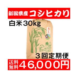 お米 30kg 白米 送料無料 農家直送 新潟県糸魚川産 コシヒカリ 新米 令 ...