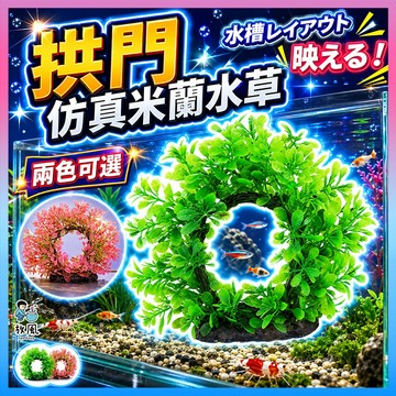台灣水草大王【拱門仿真米蘭水草】高15cm仿真水草 魚缸造景 水族造景 水草 水族 魚缸 魚缸飾品 水族箱 造景 假水草