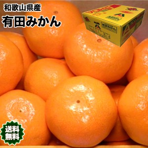 みかん 5kg 小玉 有田 和歌山県産 有田 みかん 赤秀 2Sサイズ 5kg 送料無料 贈答用 ギフト みかん 5Kg 和歌山 有田みかん お歳暮 ギフト