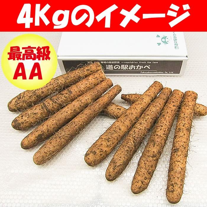 ヤマトイモ 4Kg AA品 最高級 化粧箱入り 贈答用