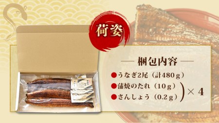 1尾で約240gのビッグサイズ うなぎ蒲焼 2尾 計約480g （タレ・山椒付き） 中国産 鰻 うなぎ うなぎの蒲焼 炭火焼き 炭火 特大サイズ