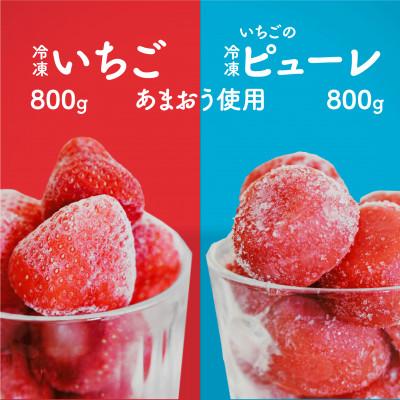 ふるさと納税 大川市 食べ比べ冷凍いちご800g、いちごの冷凍ピューレ800g(大川市)