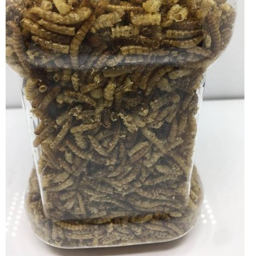 JiueseAqua 絕色乾燥麵包蟲乾 罐裝 寵物鼠零食 蜜袋鼯零食 兩棲爬蟲飼料 烏龜飼料 紅龍飼料 守宮飼料 魚飼料