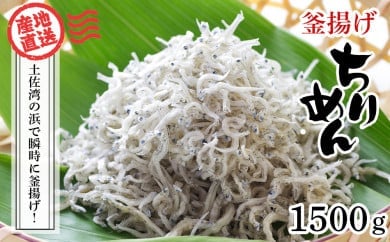 釜揚げちりめん（しらす）約1.5kg （約500ｇ×3袋）鮮度日本一を目指します！浜で瞬時に釜揚げ