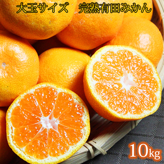 大玉サイズ　完熟有田みかん　１０kg ※2023年11月下旬～2024年1月下旬頃に順次発送予定