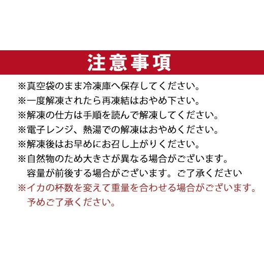 ふるさと納税 佐賀県 唐津市 唐津呼子産いか活造り 2杯(約250g×2) 急速冷凍 新鮮そのまま食卓へ！イカ 刺身 簡単 ギフト