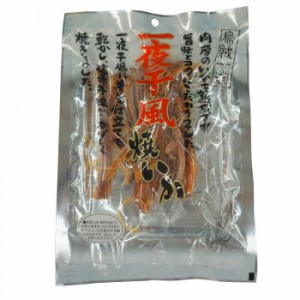 小倉秋一商店 一夜干し風焼いか 48g×10セット |b03