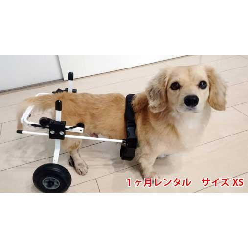 1ヶ月レンタル K9カート犬用車椅子後脚サポート XS・猫(5kg未満) 後ろ足 犬 車椅子 車イス 歩行器 ミニチュアダックス ネコ シーズー 超小型 犬 | LINEブランドカタログ