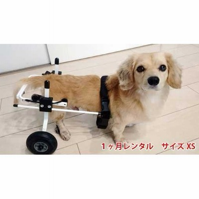 1ヶ月レンタル K9カート犬用車椅子後脚サポート S（5kg-8kg未満