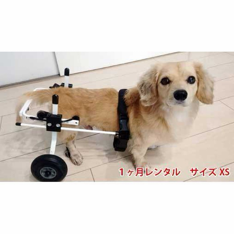 1ヶ月レンタル K9カート犬用車椅子後脚サポート XS・猫(5kg未満) 後ろ足 犬 車椅子 車イス 歩行器 ミニチュアダックス ネコ シーズー 超小型 犬 | LINEブランドカタログ