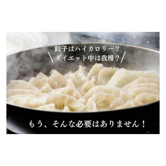 ふるさと納税 長野県 松本市 信州ご当地餃子4種マッスルギョーザセット 合計120個！