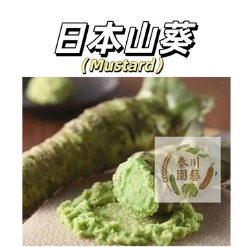 嘉義現貨（日本山葵種子） 高級調料辣根種子綠芥末種子 多年生四季蔬菜種子#調料horseradish