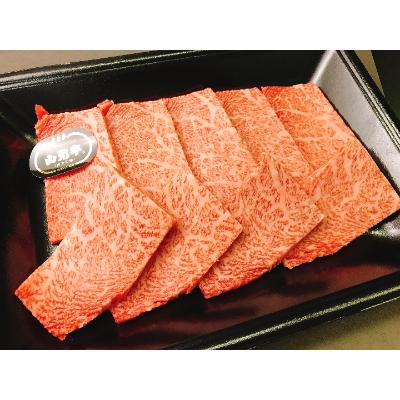 ふるさと納税 山形県 山形牛メス　厳選焼肉セット4人前(800g)