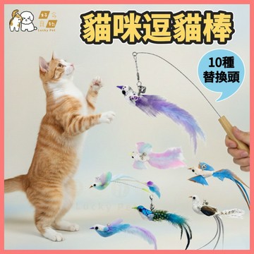 【好命寵物】貓咪逗貓棒 逗貓棒 替換頭 逗貓棒替換頭 逗貓玩具 伸縮逗貓棒 仿真鳥逗貓棒 釣魚逗貓棒 鋼絲逗貓棒 貓釣竿