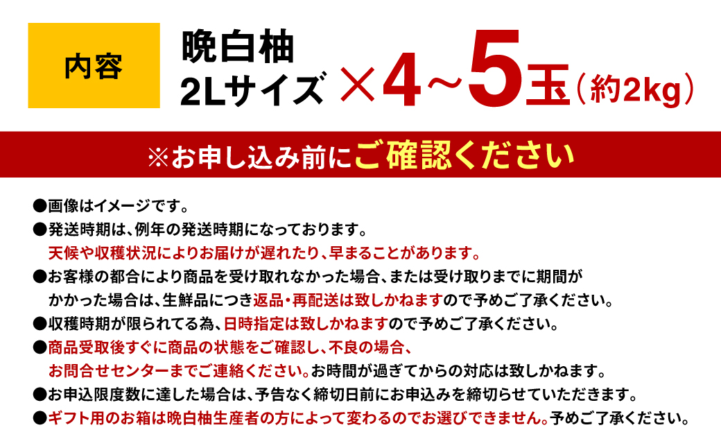 八代特産 晩白柚（ばんぺいゆ）2Lサイズ(約2kg)×4玉～5玉