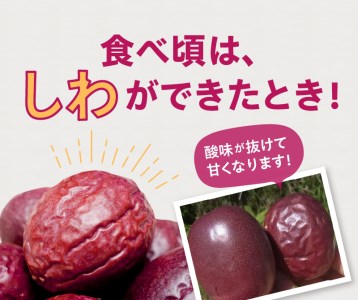 農薬・化学肥料不使用　奄美パッションフルーツ1kg（12個前後）家庭用 パッションフルーツ 奄美産 家庭用 1kg 12個前後 栽培期間中農薬・化学肥料不使用 鹿児島 奄美大島 果物 ビタミン 葉酸 トロピカルフルーツ 農家直送