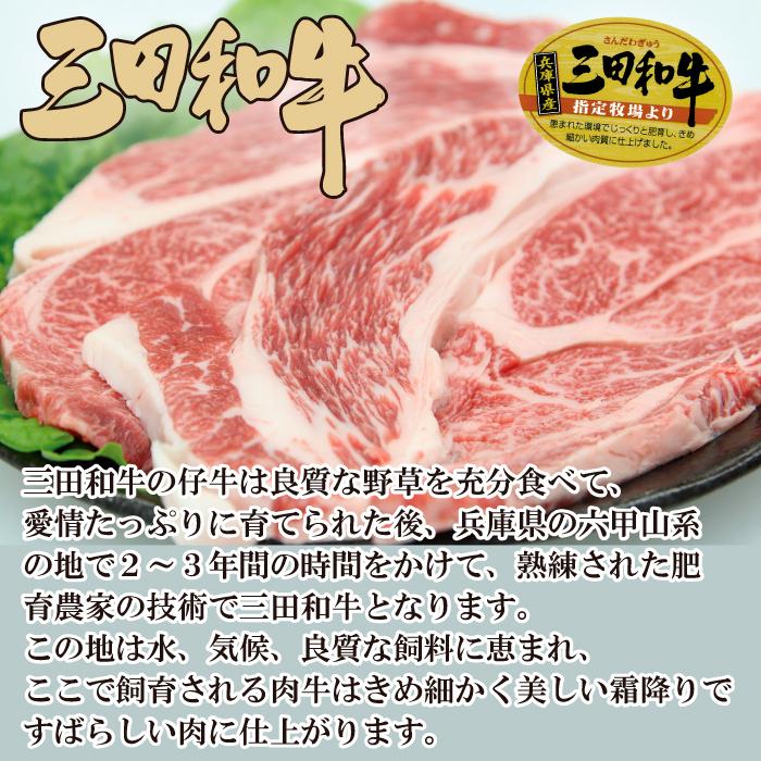 三田和牛 肩ロース ステーキ 400g (200g*2枚)   黒毛和牛 牛肉 贈り物 プレゼント ギフト 御歳暮 御中元 パーティー 記念日 お祝い 送料無料