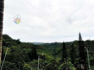 臨路樂活休閒農地｜台中市太平區北田路