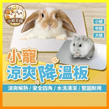 【小寵王國】倉鼠散熱板 小動物散熱板 倉鼠降溫板 倉鼠散熱墊 降溫鋁板 散熱板 倉鼠涼墊 降溫板 小寵用品