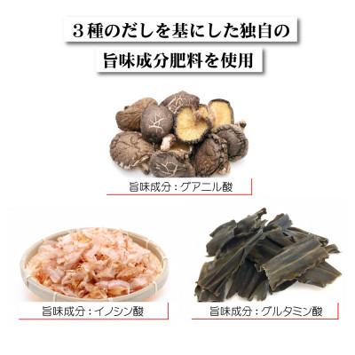 ふるさと納税 宇土市 熊本県宇土市産 完熟さちのか苺 1kg(500g×2箱) 園村苺園