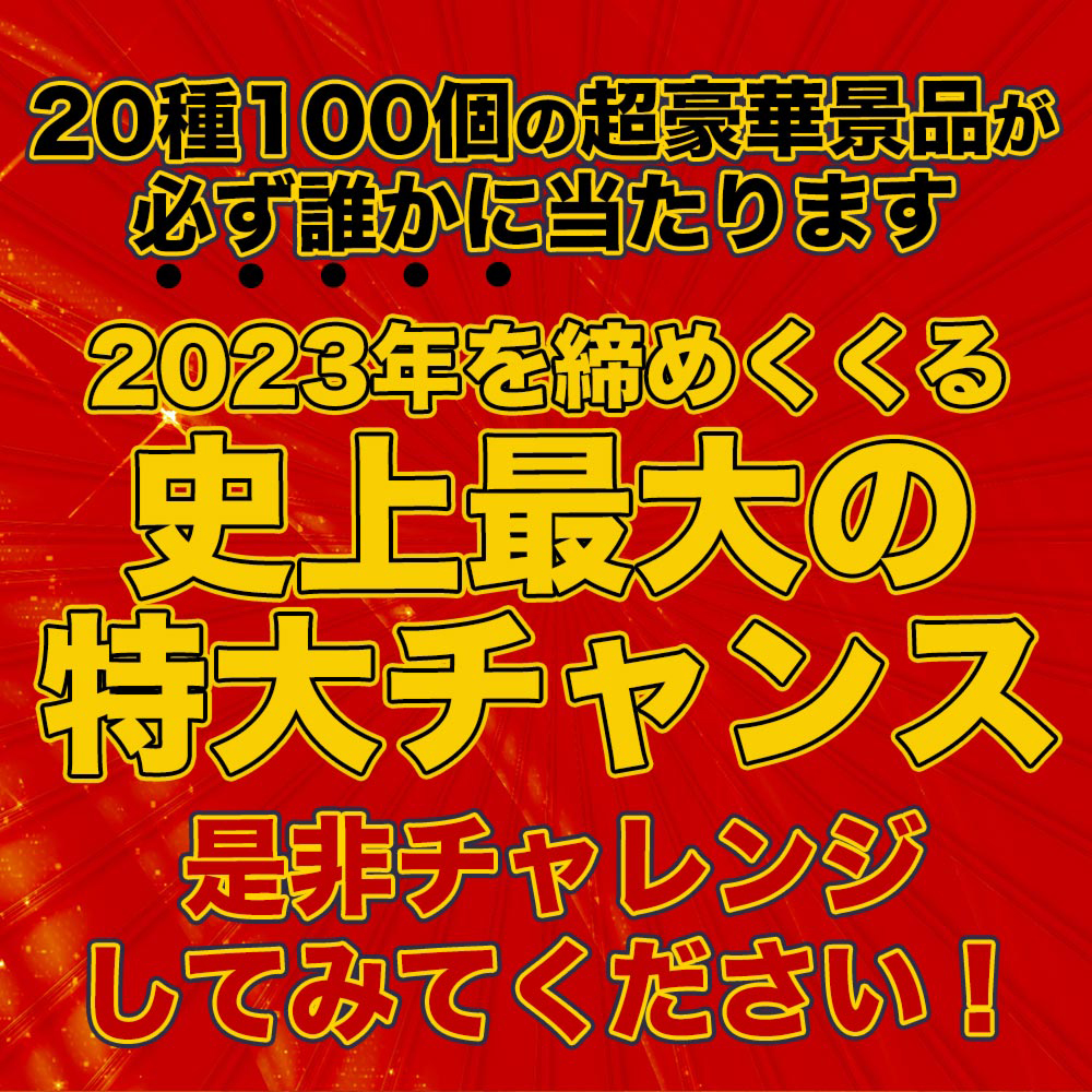 松屋 2024 新春懸賞福袋！超特大ボリュームセット！16種30食入り 新春 福袋 新春福袋 懸賞 グルメ 牛丼 牛めし まつや