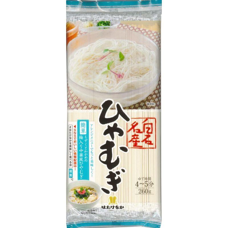 はたけなか製麺 名産ひやむぎ 260g×10個