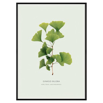 枝繁葉茂 銀杏葉 HOPE PEACE AND ENDURANCE  50 x 70cm  黑色