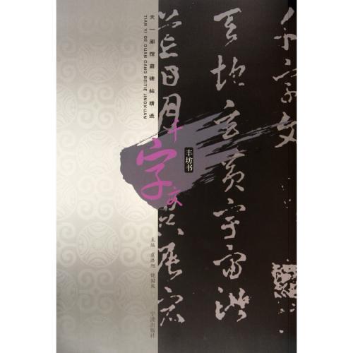 千字文　天一閣館蔵碑帖精選　豊坊書  天一#38401;#39302;藏碑帖精#36873;:千字文(#20016;坊#20070;)